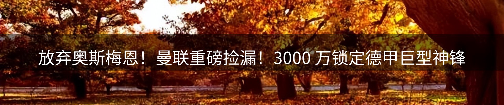 内页banner